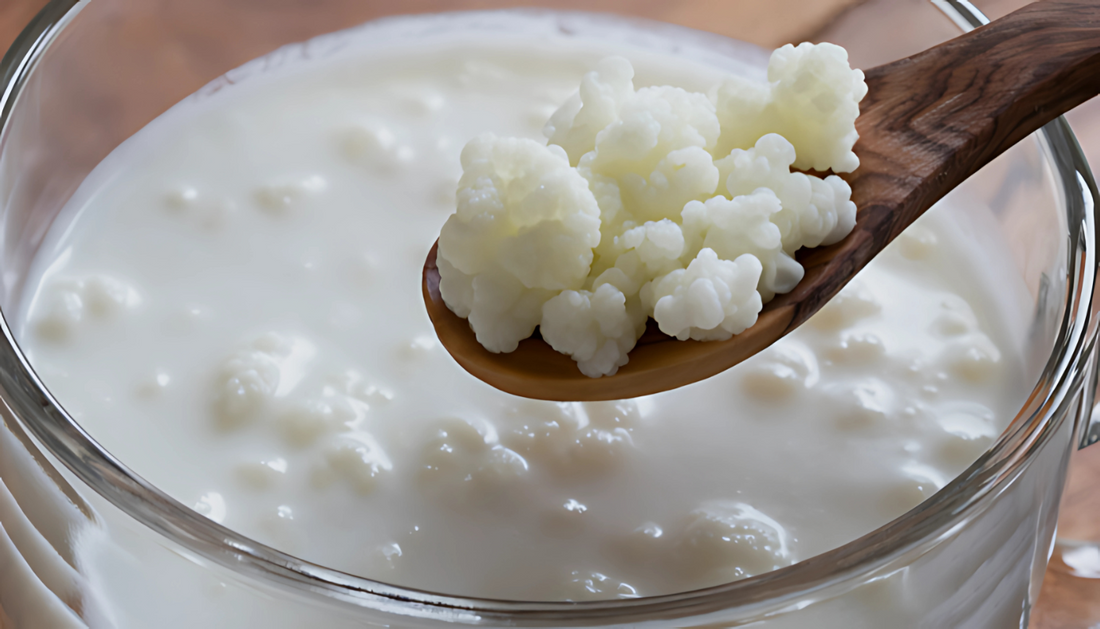 Water Kefir vs Kombucha: A Healthy Comparison
