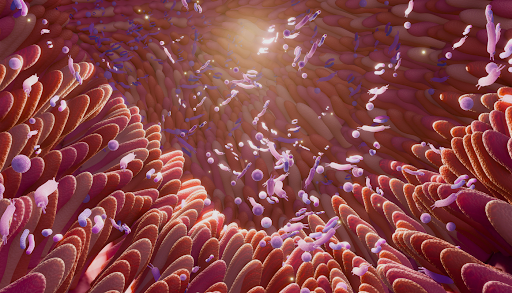 Exploring the Diet Effect on Gut Health: Nutrition’s Role in Microbiota Balance