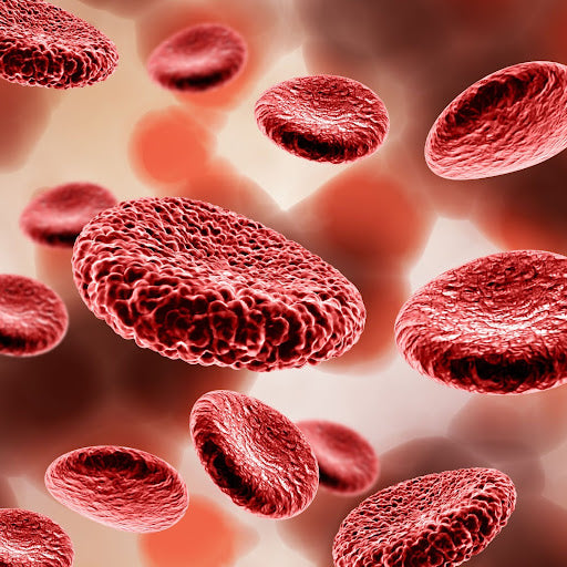 Understanding the Connection Between Gut Health and Hormones