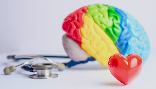 Guide to Probiotics for Boosting Brain Health and Mood