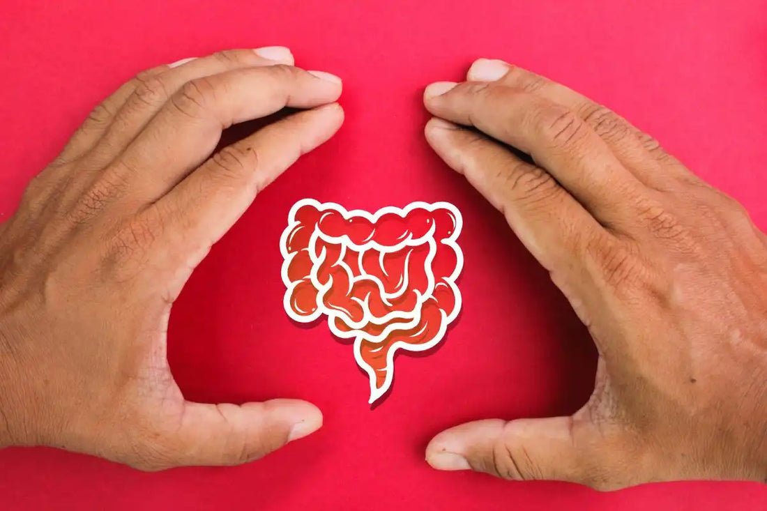 The Role of the Gut Microbiota in Health and Disease