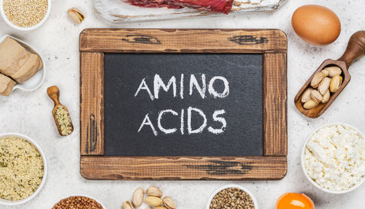 Amino Acids and Their Role in Weight Loss Metabolism