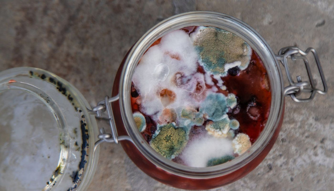 Can Kombucha Ferment Too Long: Turning Mistakes into Magic