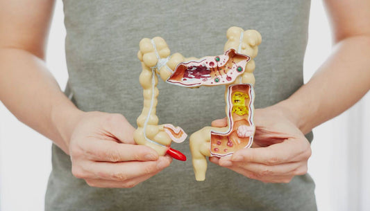 Constipation Causes and Cures: Your Guide to Natural Relief