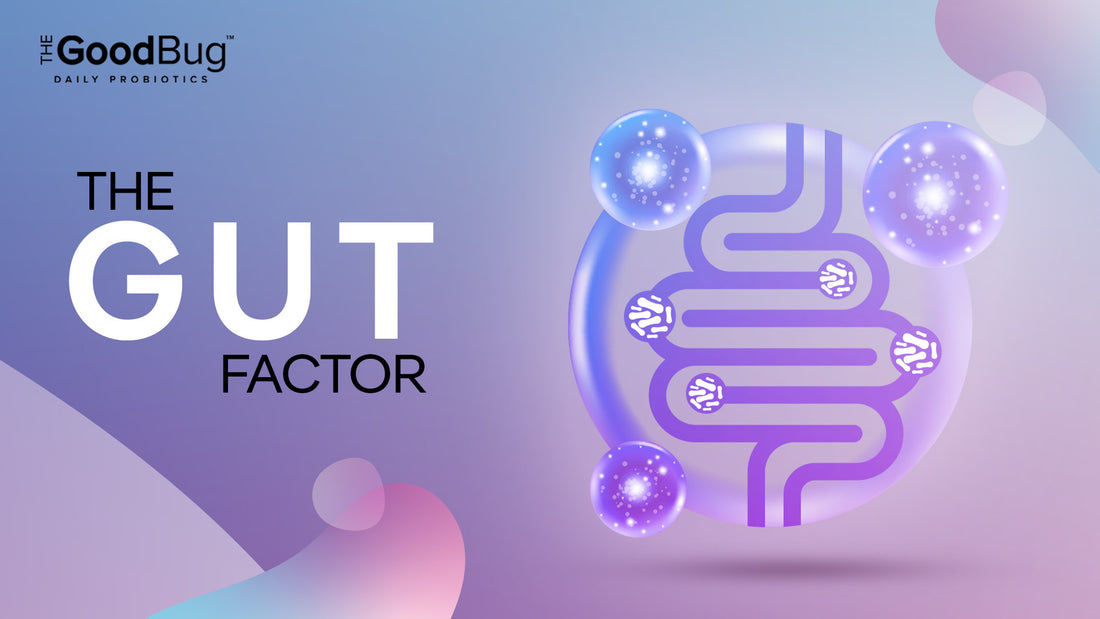 How Does Gut Health Affect Your Body & Why It Matters?