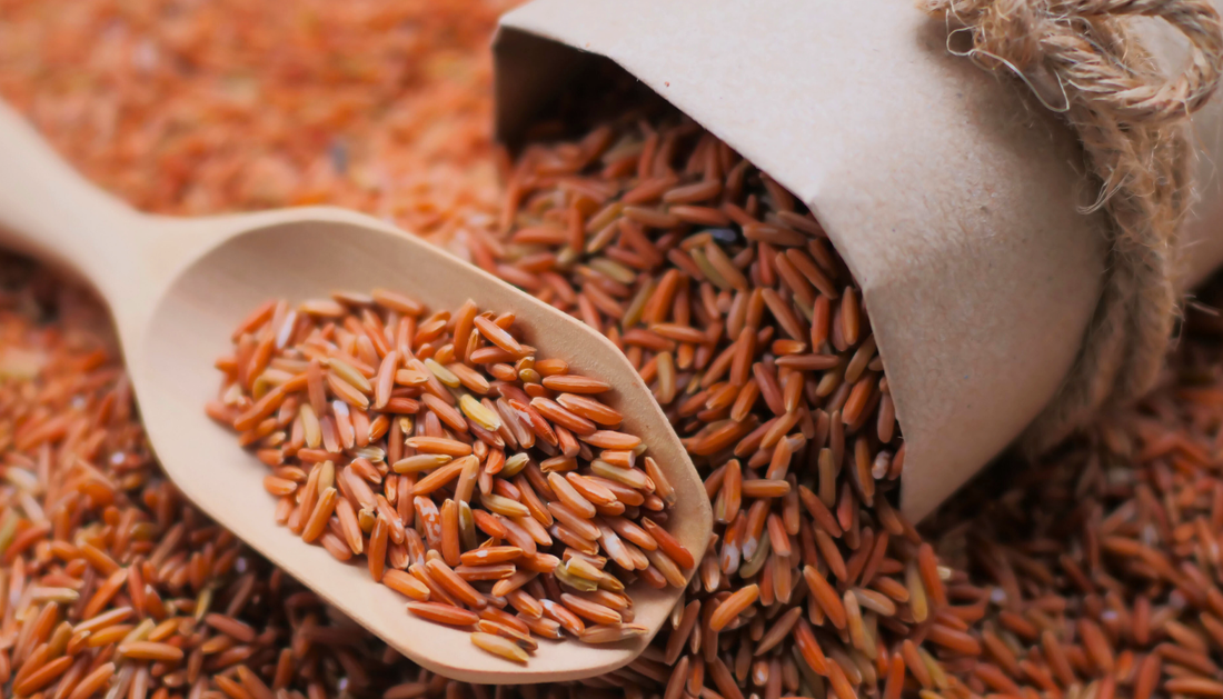 Discovering the Best Grains for Gut Health and Digestion