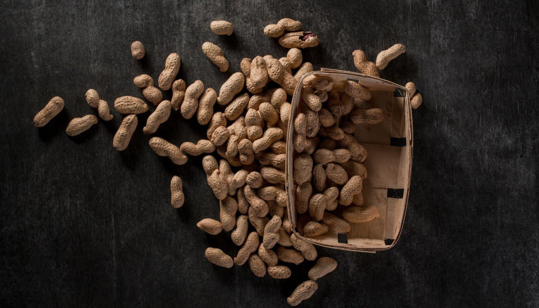 Do Peanuts Aid in Weight Loss?