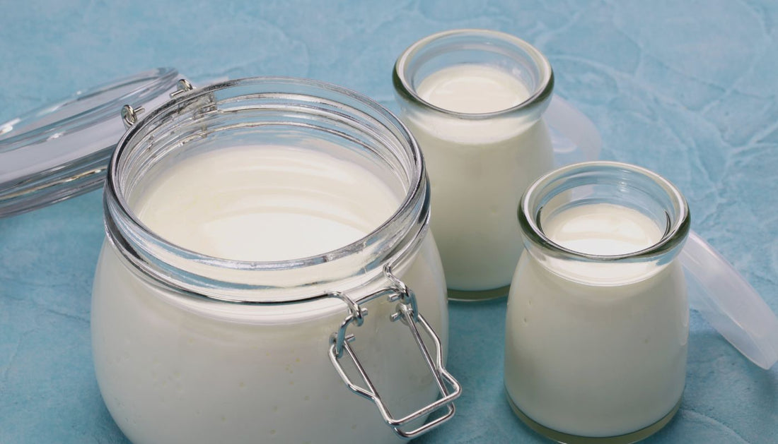 Drinking Kombucha and Kefir on the Same Day: Is it a Gut-Friendly Combo?