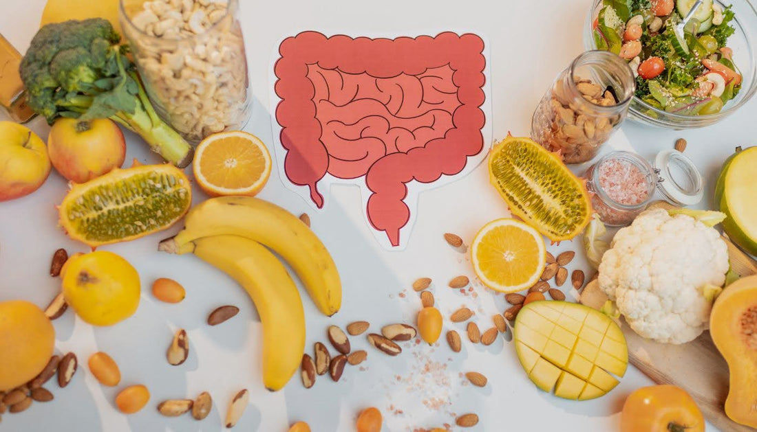Easily Digestible Foods: What to Eat and Avoid for a Gentler Gut