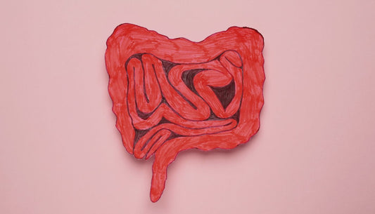Exploring the Connection between Gut Health and Allergies