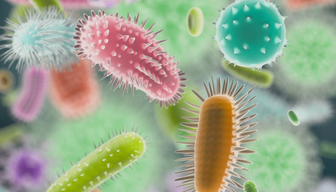 Exploring the Link Between Gut Health and Hair Loss