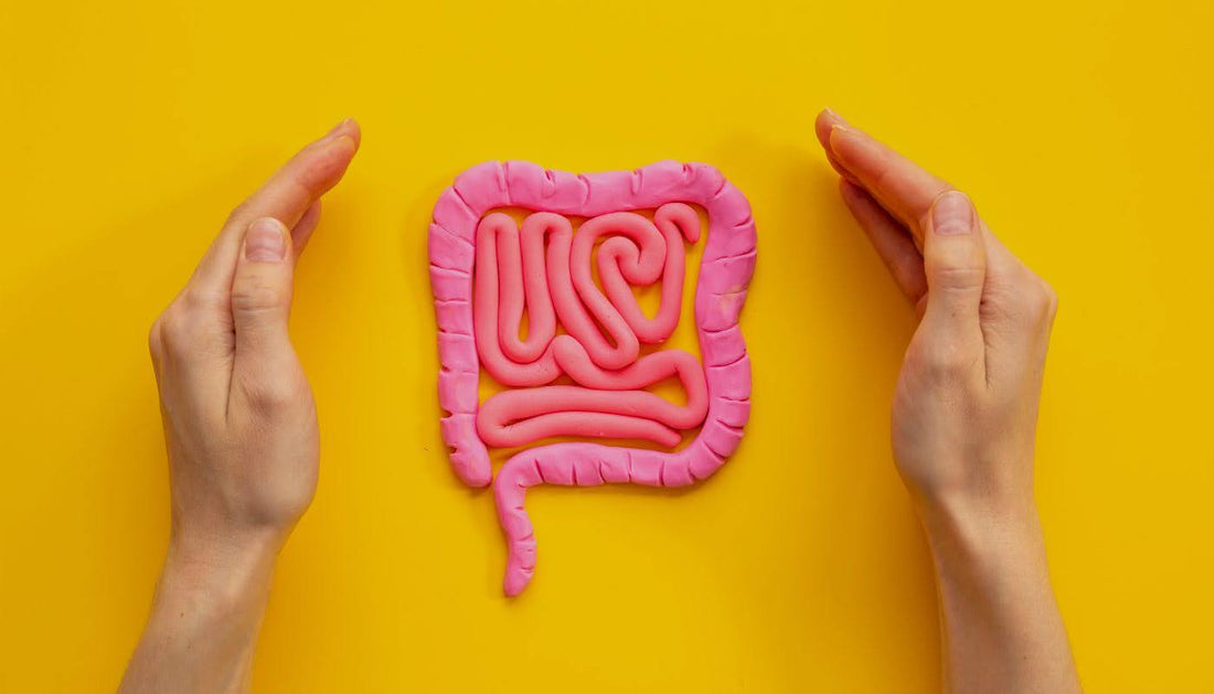 Gut Hormones and Their Role in Weight Loss