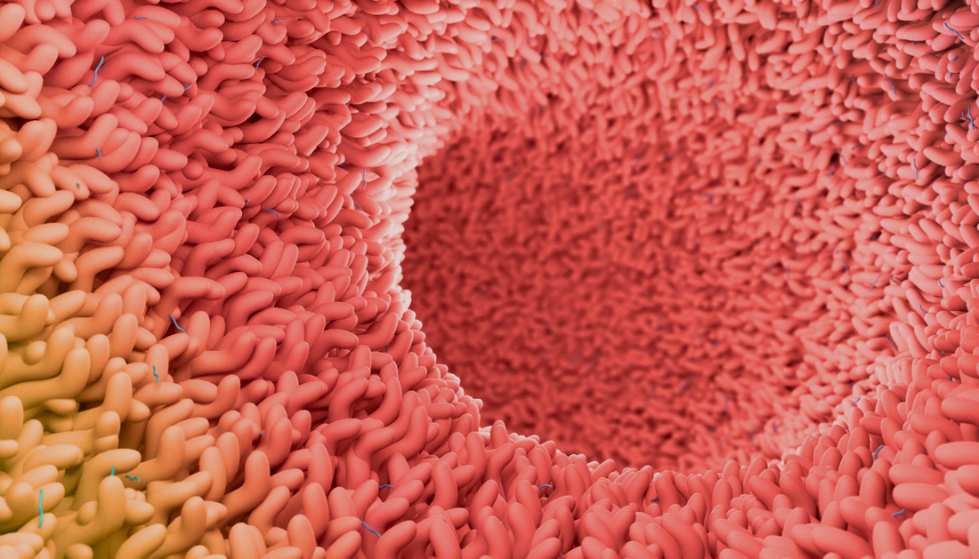 How Does A Mother’s Microbiome Help Shape Her Baby's Development?