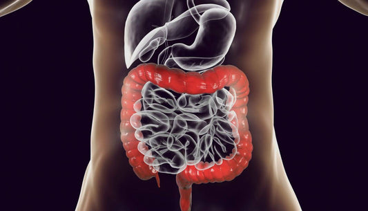How to Detox and Cleanse Your Gut Naturally?