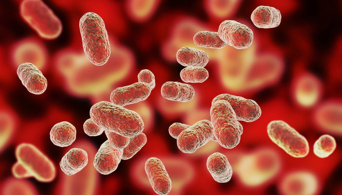 How to Naturally Increase GLP-1 Levels?