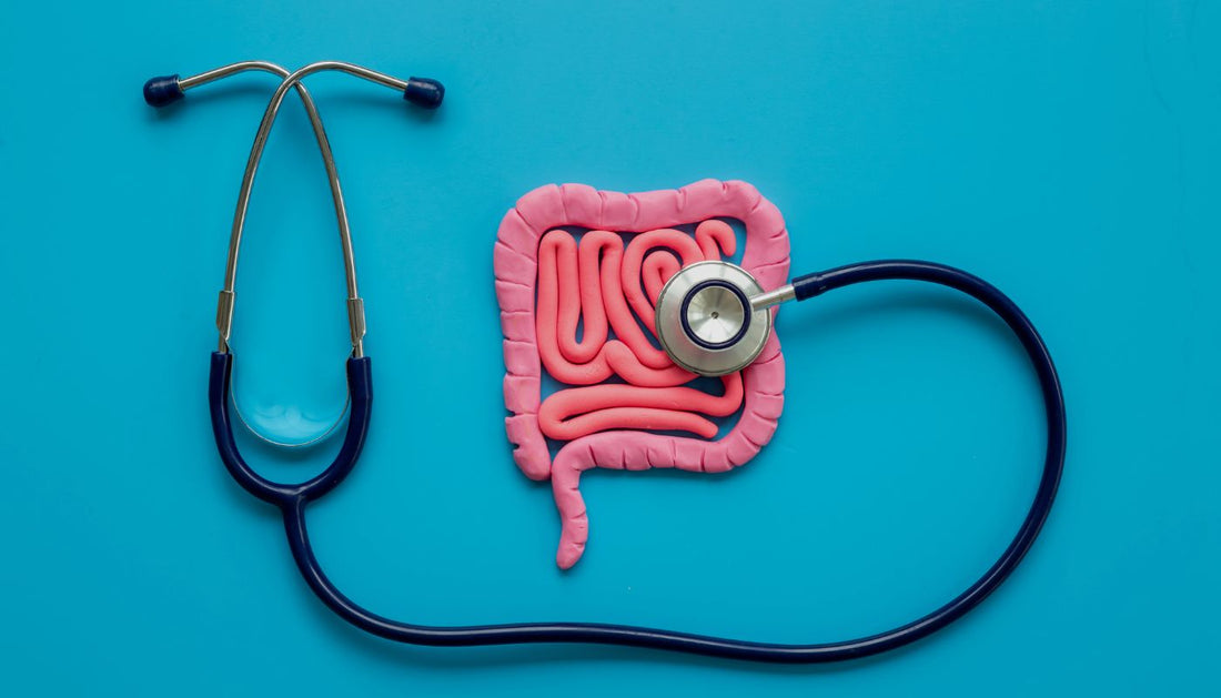 Living with Ulcerative Colitis: Is Kombucha a Helpful Addition?