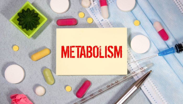 Metabolism and Weight Loss: Understanding and Strategies