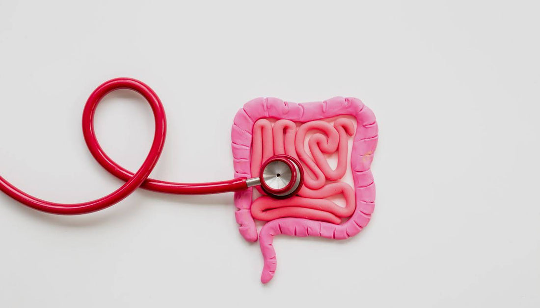 Probiotics for Acid Reflux and Its Impact on Gut Health