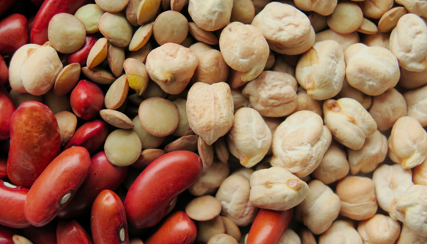 Dietary Fiber Intake and Its Impact on Bone Health