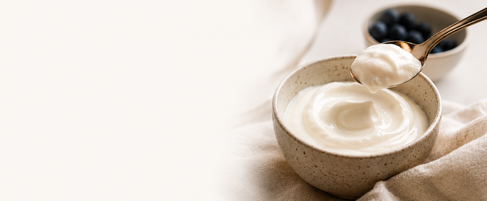 Help us build India's next great Greek Yogurt brand.