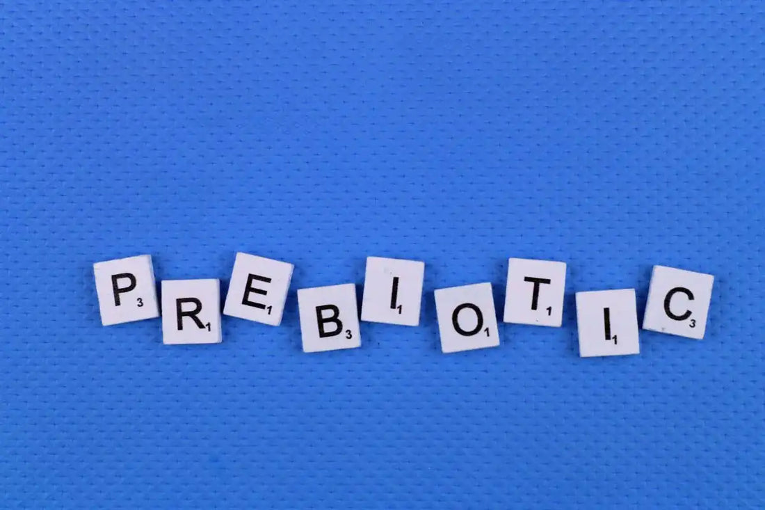 All About Prebiotics