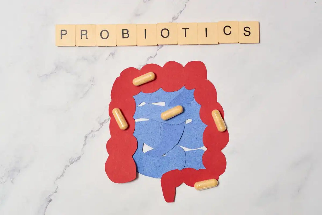 All About Probiotics
