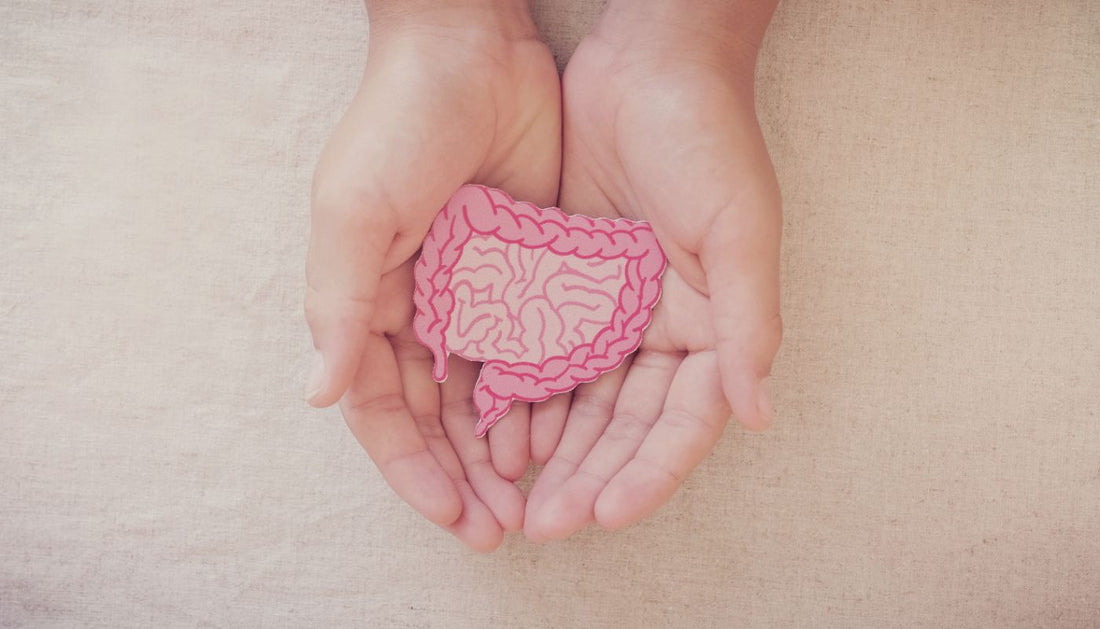 A Simple Guide to Gut Health Problems