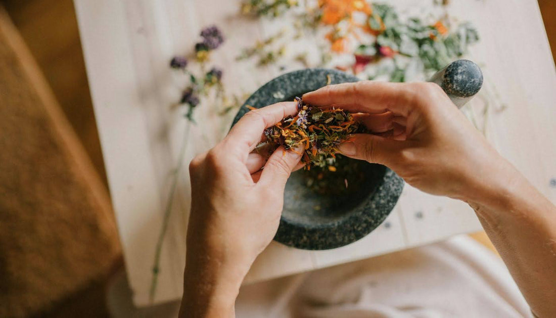 Best Natural Herbs for Weight Loss and Metabolism