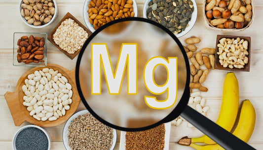 Can Magnesium and Probiotics be Co-Supplemented