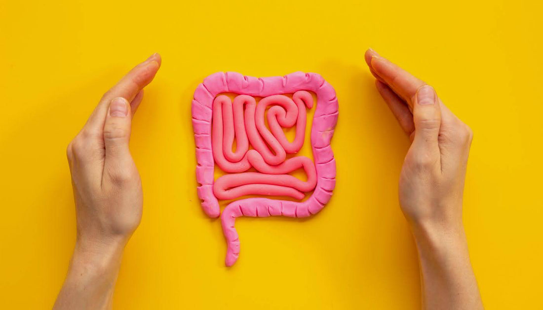 Checking Signs of a Healthy Gut: Tips and Tests