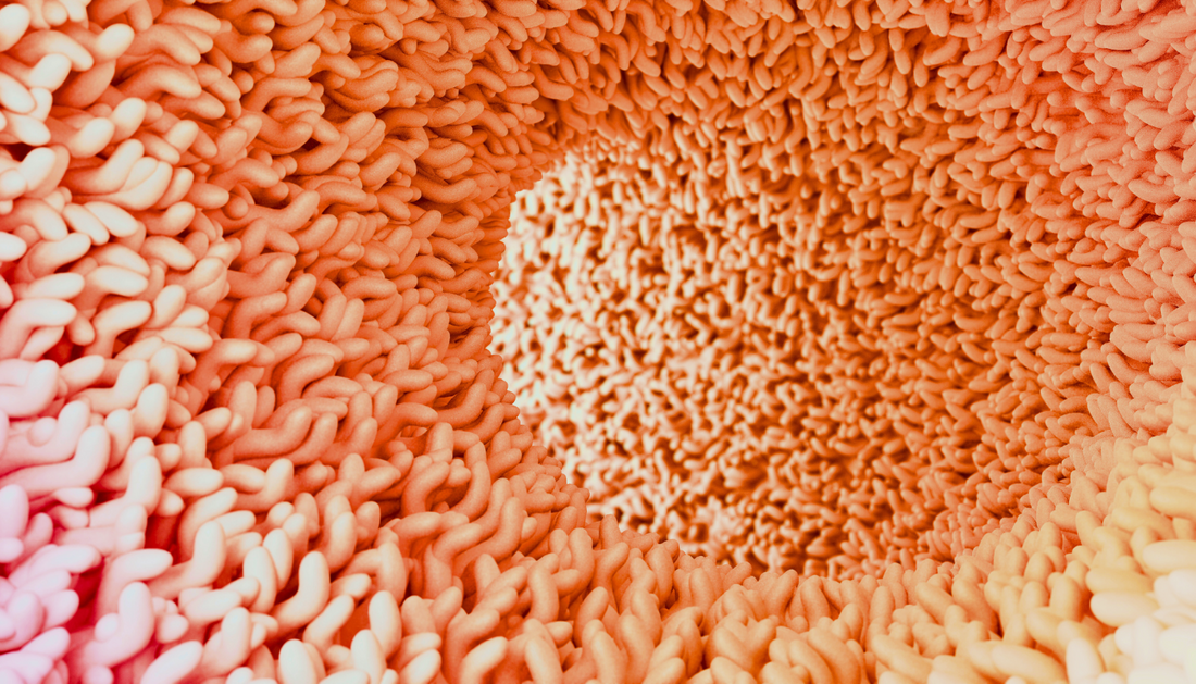 Do You Get Your Microbiome From Your Mother?