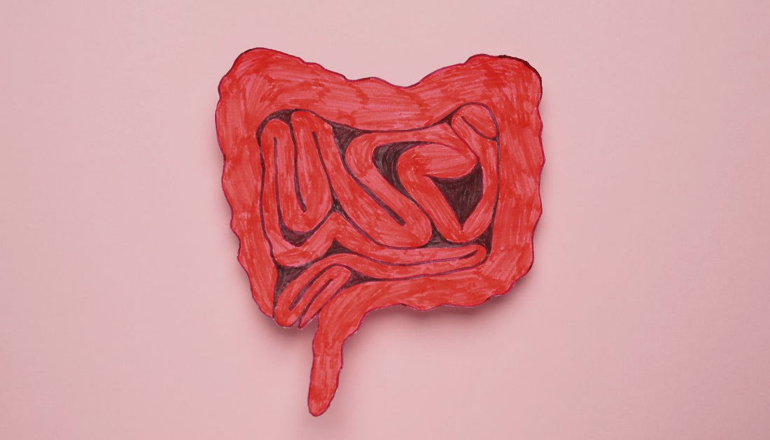 Exploring the Connection between Gut Health and Allergies