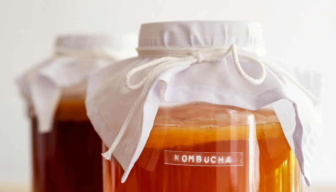 From Kombucha Plant to Delicious Brews: A SCOBY Growing Guide