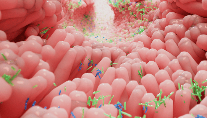 Common Misconceptions About Gut Microbiome Testing