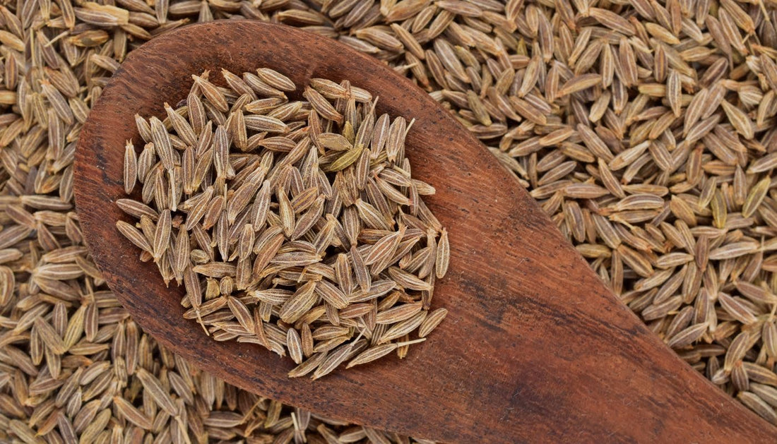 How Cumin Aids Weight Loss and Health Benefits