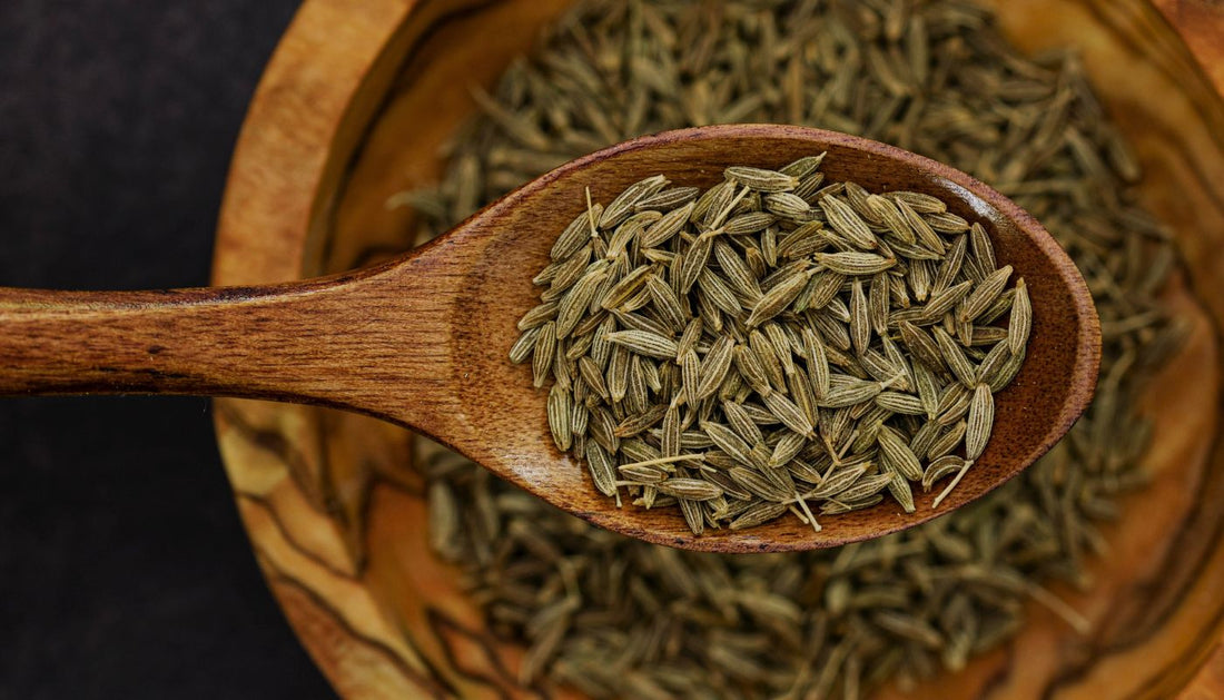 Improving Gut Health using Cumin Seeds