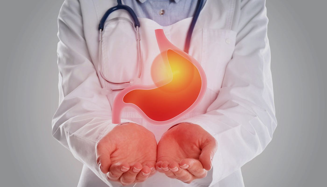 Probiotic Support for Digestive Health Reset