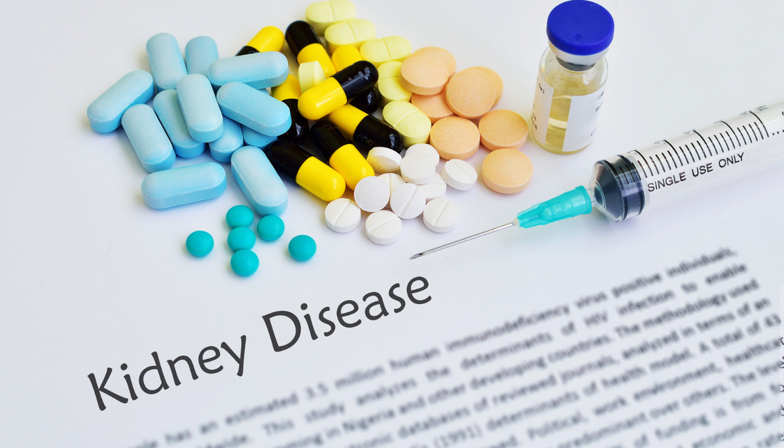 Probiotics Use and Potential Benefits for Chronic Kidney Disease
