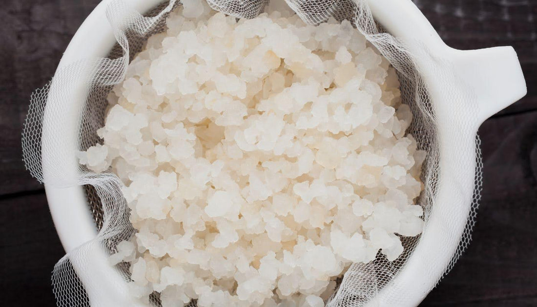 Storing Water Kefir: Plastic or Glass?