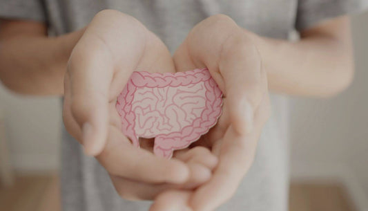 The Leaky Gut Diet: Is Sauerkraut a Worthy Addition?