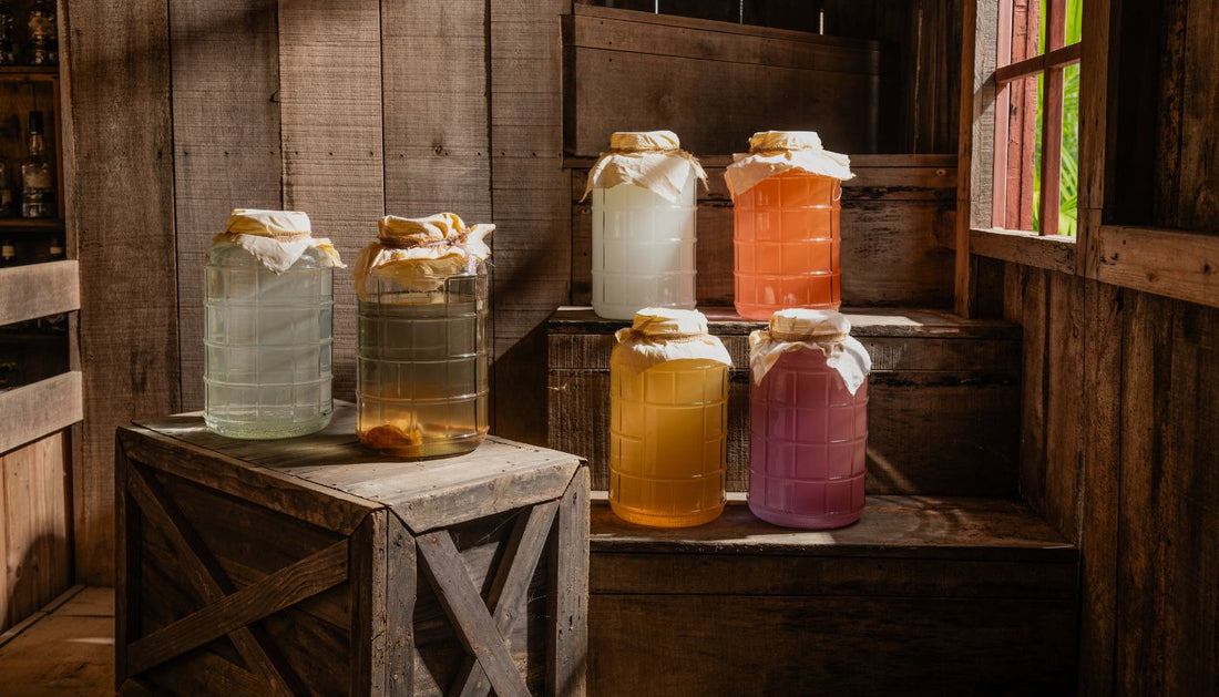 The Tangy Twins: Is Kombucha Like Apple Cider Vinegar?