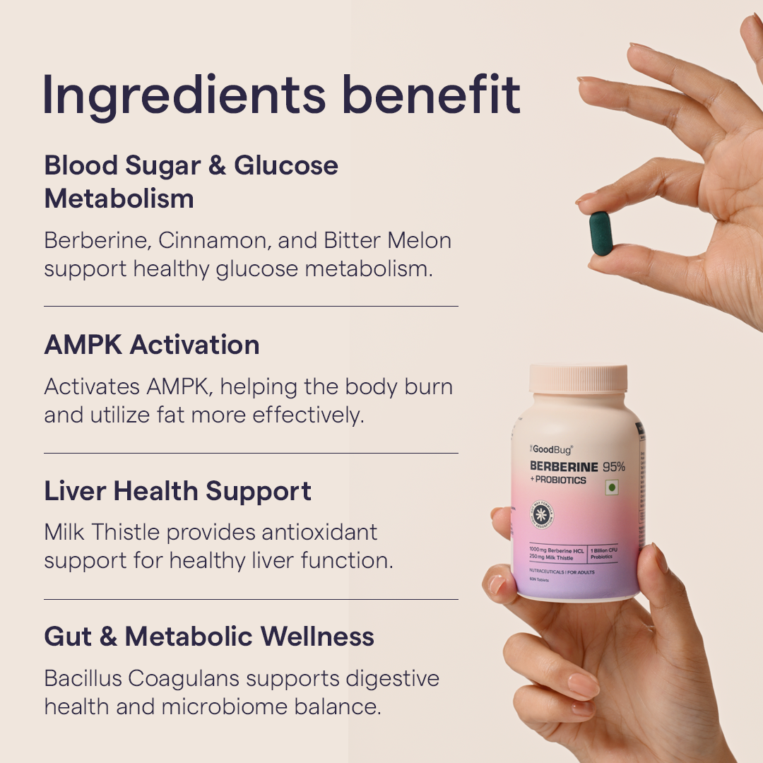 Berberine (95%) 1000mg + Probiotics