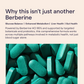 Berberine (95%) 1000mg + Probiotics