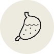 Digestive Health
