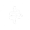 Gut-First Support 