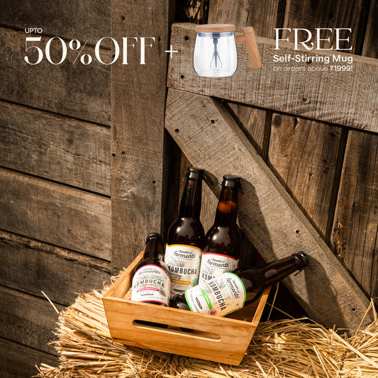 Kombucha | Fermented Probiotic Tea