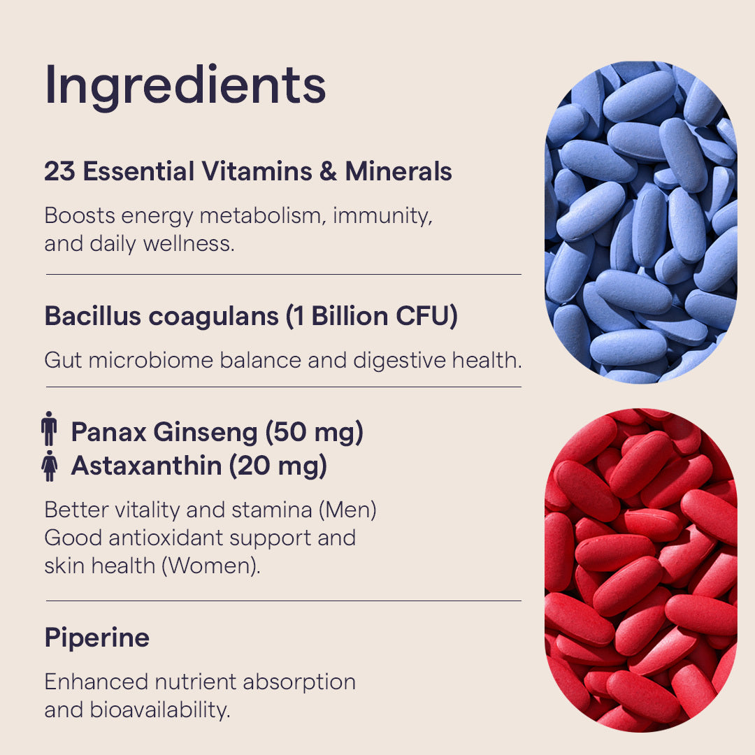 Multivitamin + Probiotics