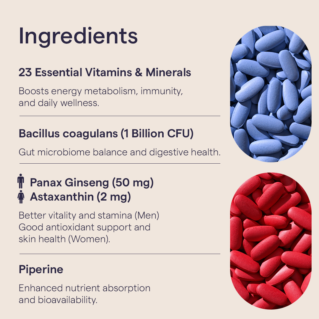 Multivitamin + Probiotics