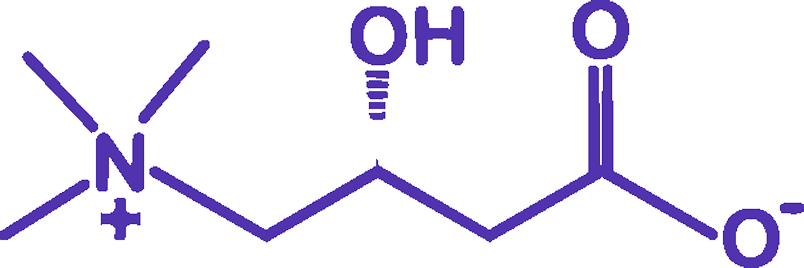 L-Carnitine